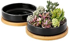 Yangbaga 2pcs pots d'occasion  Livré partout en France