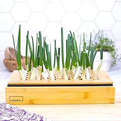 Hamama green onion for sale  Delivered anywhere in USA 