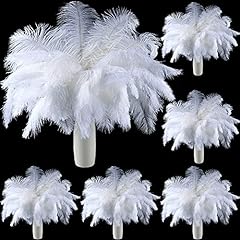 120 pcs ostrich for sale  Delivered anywhere in USA 