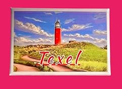 Texel texel souvenir usato  Spedito ovunque in Italia 