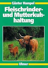 Fleischrinder mutterkuhhaltung gebraucht kaufen  Wird an jeden Ort in Deutschland