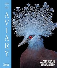 Aviary bird contemporary for sale  Delivered anywhere in UK