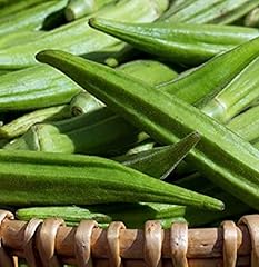 Fresh okra lady for sale  Delivered anywhere in UK