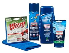 Arexons car care usato  Spedito ovunque in Italia 