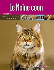 Maine coon d'occasion  Livré partout en Belgiqu