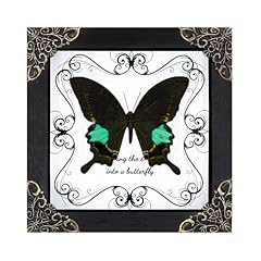 Papilio paris framed for sale  Delivered anywhere in USA 