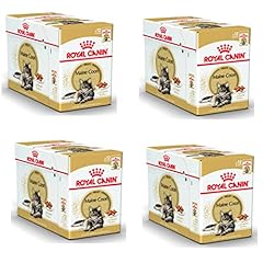Royal canin maine d'occasion  Livré partout en France