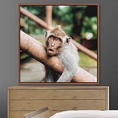 Bestdeal depot curious for sale  Delivered anywhere in USA 