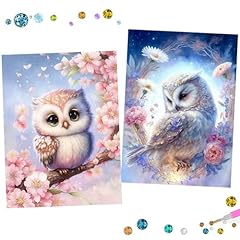 Uirheurd diamond painting usato  Spedito ovunque in Italia 