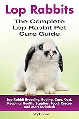 Lop rabbits lop for sale  Delivered anywhere in USA 