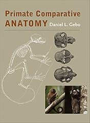 Primate comparative anatomy for sale  Delivered anywhere in UK