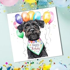 Schnauzer birthday bandana for sale  Delivered anywhere in UK