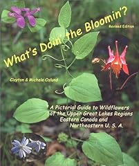 Doin bloomin pictorial for sale  Delivered anywhere in USA 