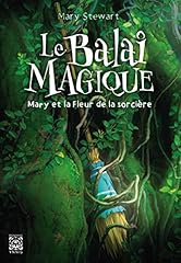 Balai magique mary d'occasion  Livré partout en Belgiqu