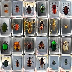 Pièces insectes résine d'occasion  Livré partout en France