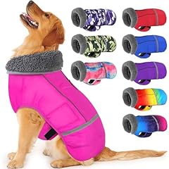 Dogcheer warm dog for sale  Delivered anywhere in USA 