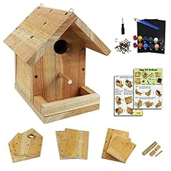 Diy birdhouse kit for sale  Delivered anywhere in USA 