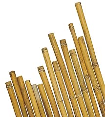 Canne bamboo 150 d'occasion  Livré partout en France