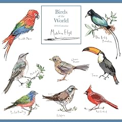 Madeleine floyd birds for sale  Delivered anywhere in UK