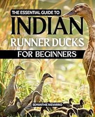 Essential guide indian for sale  Delivered anywhere in UK