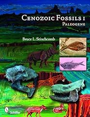 Cenozoic fossils paleogene for sale  Delivered anywhere in USA 