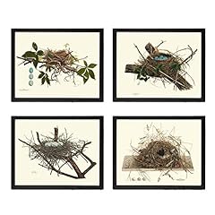 Bird nest wall for sale  Delivered anywhere in USA 