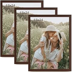 Momentworth 18x24 frame for sale  Delivered anywhere in USA 