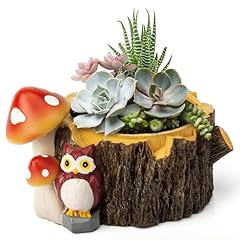 Yiiwinwy owl succulent for sale  Delivered anywhere in USA 