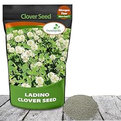 Outsidepride perennial white for sale  Delivered anywhere in USA 