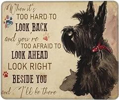Scottish terrier hard for sale  Delivered anywhere in UK