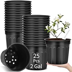 Ziliny pcs gallon for sale  Delivered anywhere in USA 