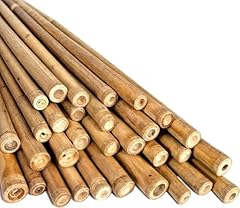 Loibuyz bamboo canes for sale  Delivered anywhere in UK