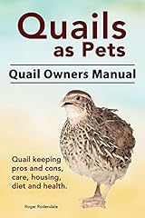 Quails pets. quail for sale  Delivered anywhere in UK