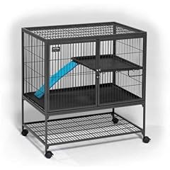Midwest homes pets for sale  Delivered anywhere in USA 