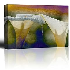 Wall26 cala lilies for sale  Delivered anywhere in USA 