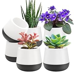 Succulent pots small for sale  Delivered anywhere in USA 