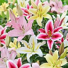 Garden state bulb for sale  Delivered anywhere in USA 