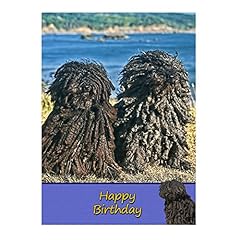 Hungarian puli dog for sale  Delivered anywhere in UK