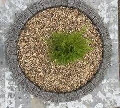 Garden granite circle for sale  Delivered anywhere in Ireland