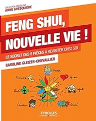 Feng shui nouvelle d'occasion  Livré partout en France