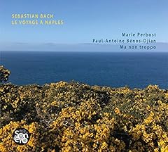 Sebastien bach voyage d'occasion  Livré partout en France