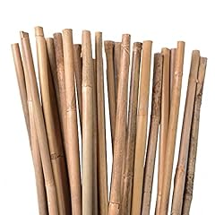 Canne bambù rampicanti usato  Spedito ovunque in Italia 