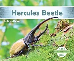 Hercules beetle for sale  Delivered anywhere in USA 