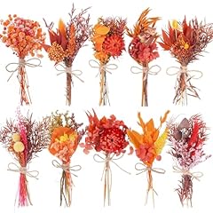Pack fall decor for sale  Delivered anywhere in USA 