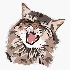 Meowing cat maincoon for sale  Delivered anywhere in USA 
