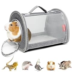 Ioview guinea pig for sale  Delivered anywhere in USA 