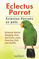 Eclectus parrot. eclectus for sale  Delivered anywhere in USA 