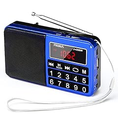 Prunus 429 radio usato  Spedito ovunque in Italia 