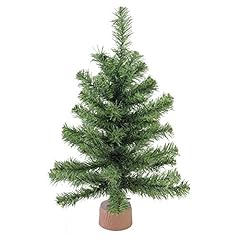 Northlight canadian pine for sale  Delivered anywhere in USA 