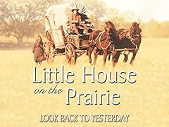 Little house look for sale  Delivered anywhere in USA 